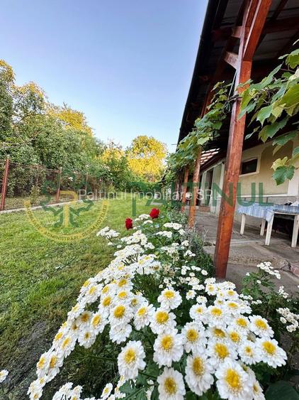 Casă și Teren Generos în Sibiu,  Armeni, Comuna Loamneș - 11