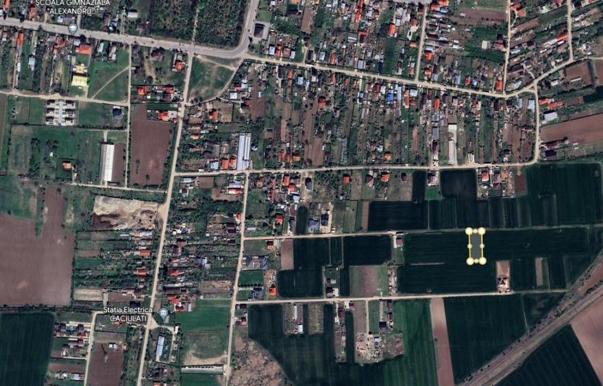TEREN MOARA VLASIEI - CACIULATI 1500 mp