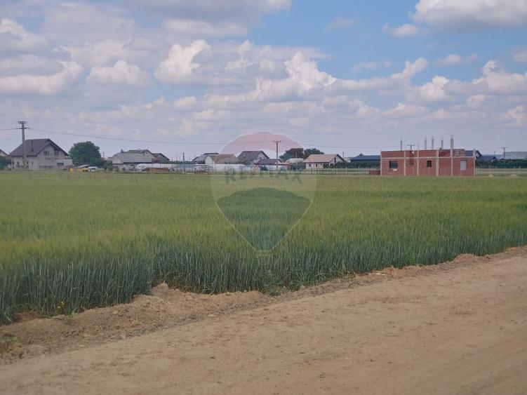 Teren intravilan 6,600mp Dumbraveni / Strada Principala spre Veresti