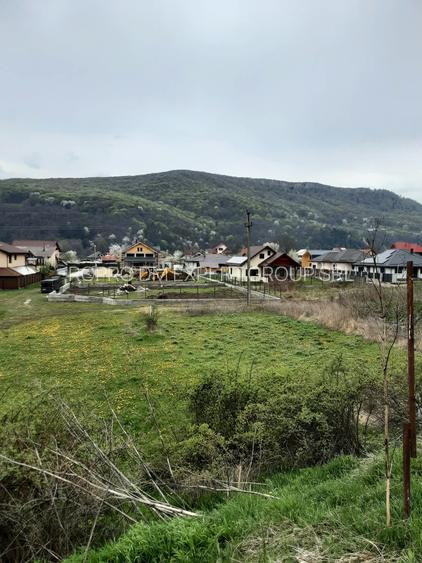 Teren constructii Piatra Neamt