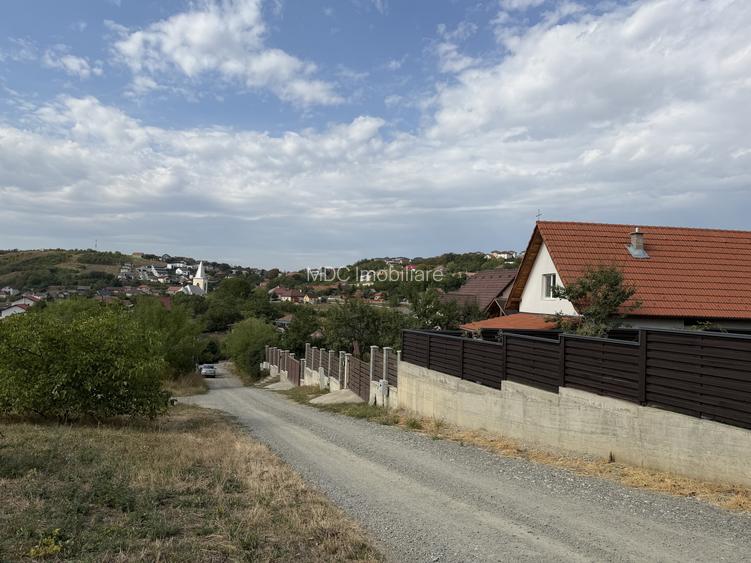 Oportunitate pentru dezvolatatori, 5800 m2, front de 52 m - 4