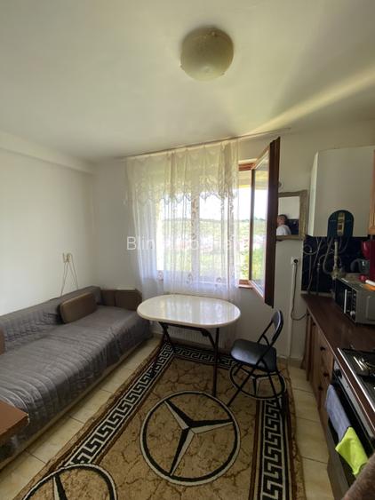 Apartament De Vanzare , 42 mp utili, Zona Liceul Dumitru Tautan - 3