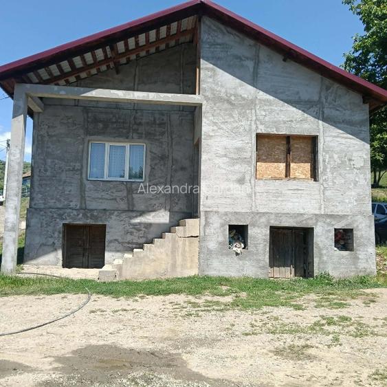 Casa de vanzare cu teren agricol  - 2