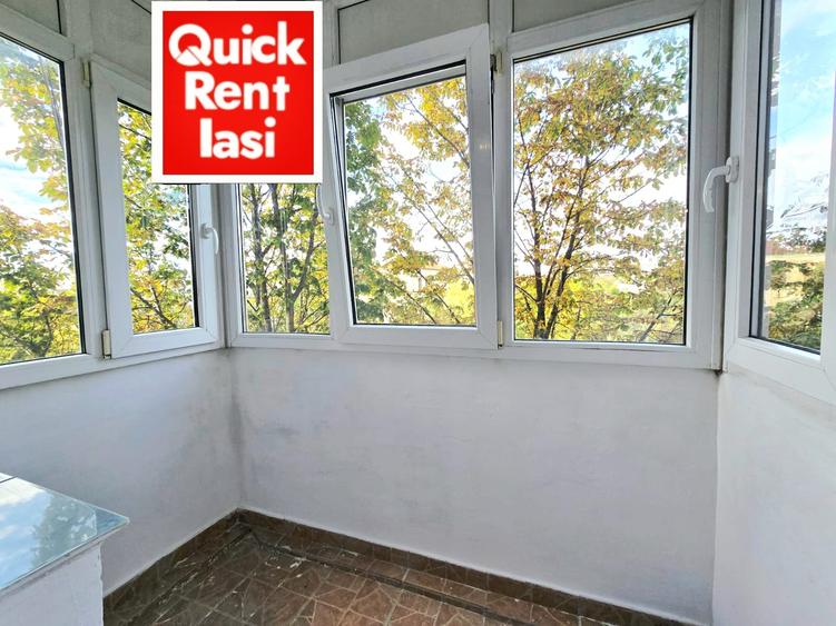 Ultracentral Moldova Center(Palatul Culturii) Apartament 2Camere De Inchiriat