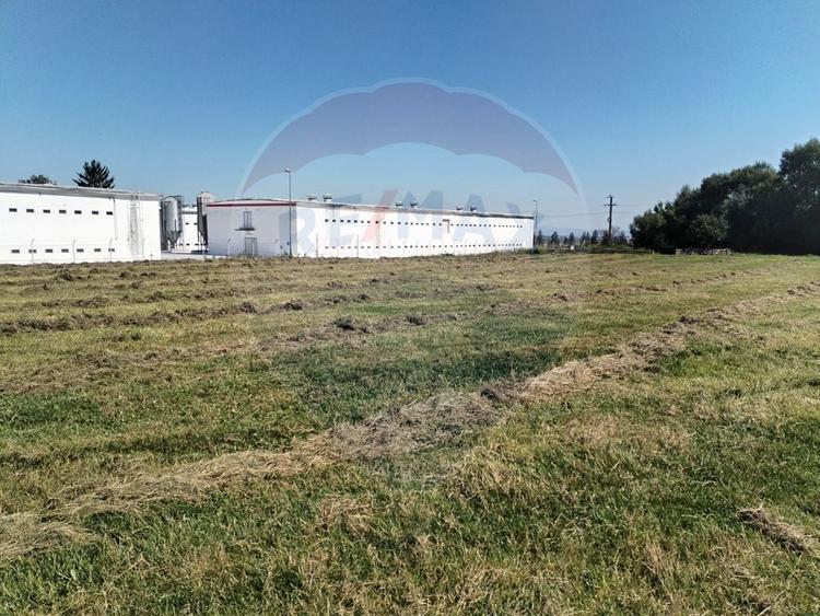 Teren intravilan de vânzare – 3.700 mp – Brasov / Strada Cucului