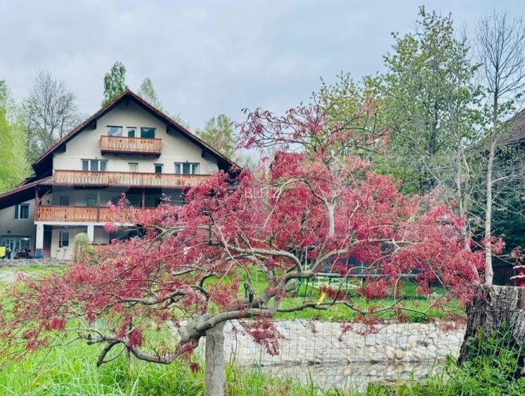 Casa de vanzare, 9 camere, 650 mp - Bran - 3