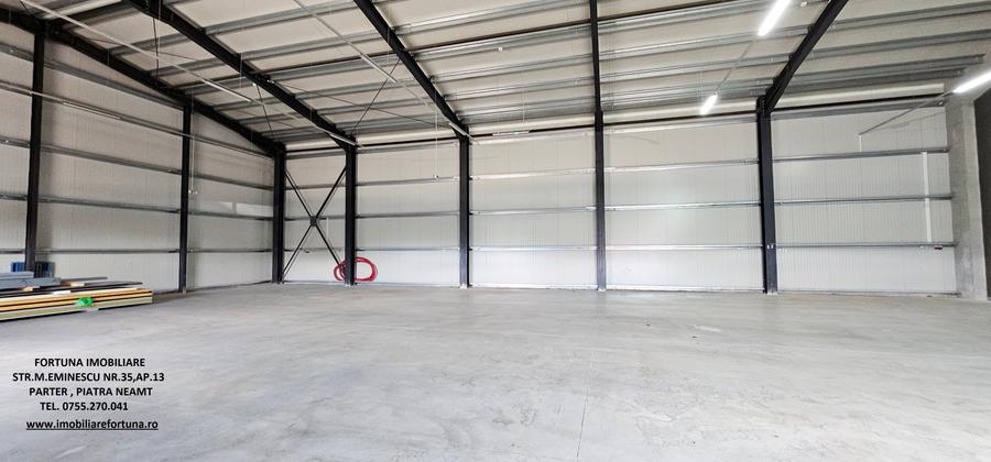 Complex imobiliar:cladire birouri,2 hale noi si 3424mp teren, Piatra Neamt