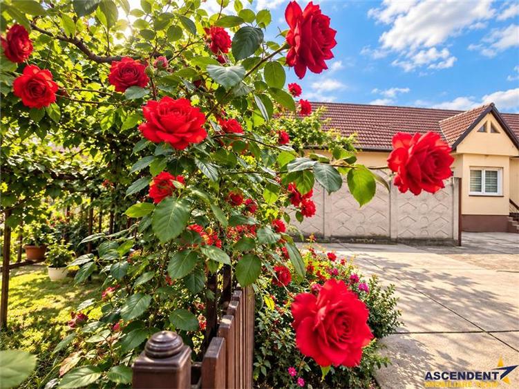 Casa cu vatra traditionala, gradina, garaj, facilitati, Codlea, Brasov