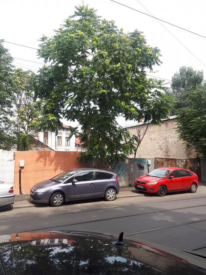Oportunitate de Investiție în Zona Centrală!