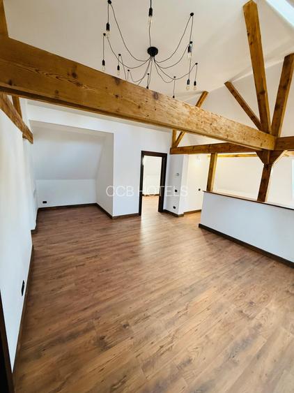 Apartament de vacanta (AP12)- TVA 0% - Vila in stil Neo-Romanesc - 8