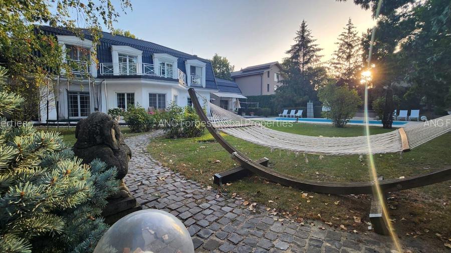 Vila individuala, teren 3000 mp, Iancu Nicolae - 33