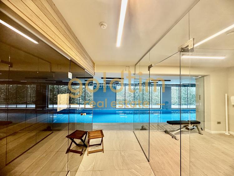 ANSAMBLU CU GYM SI PISCINA/SPATII DEPOZITARE/ IANCU NICOLAE - 12