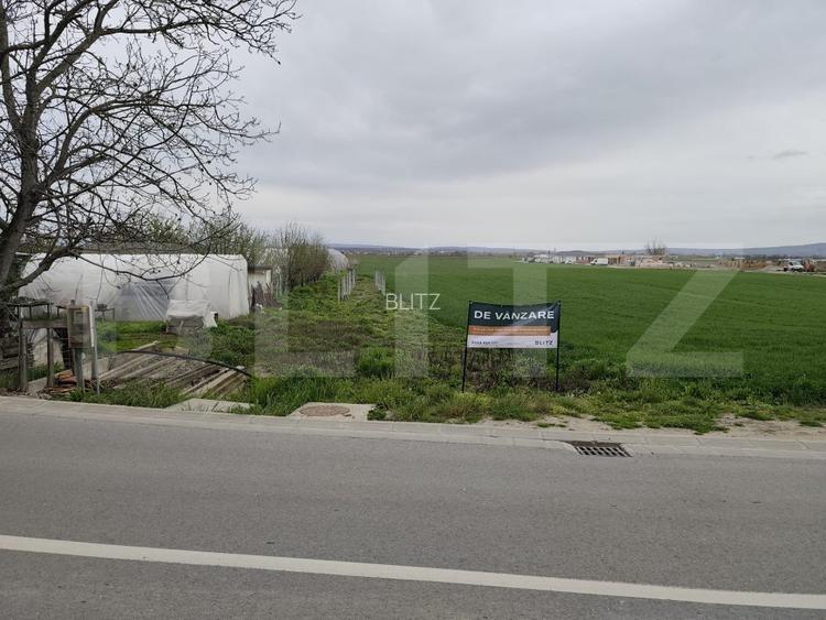 Teren 8600 mp în Podgoria - 3