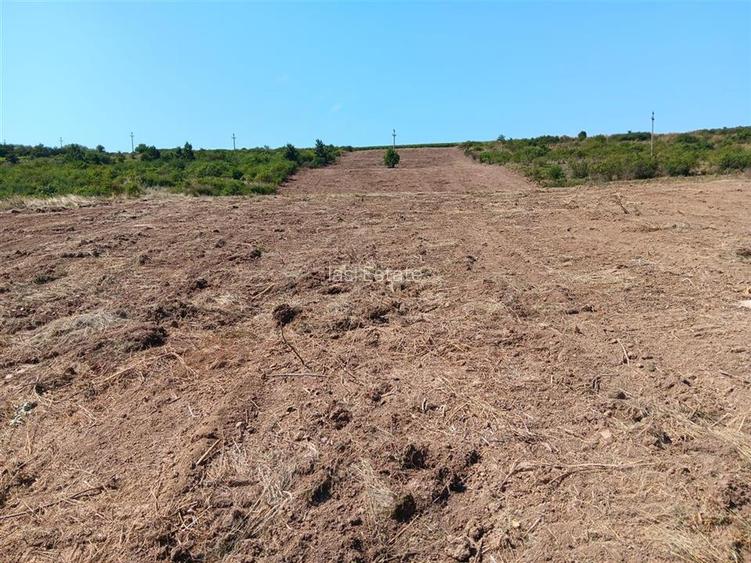 Ocazie! Sorogari TEREN 10000mp intravilan PUZ realizat si  toate utilitatile - 4