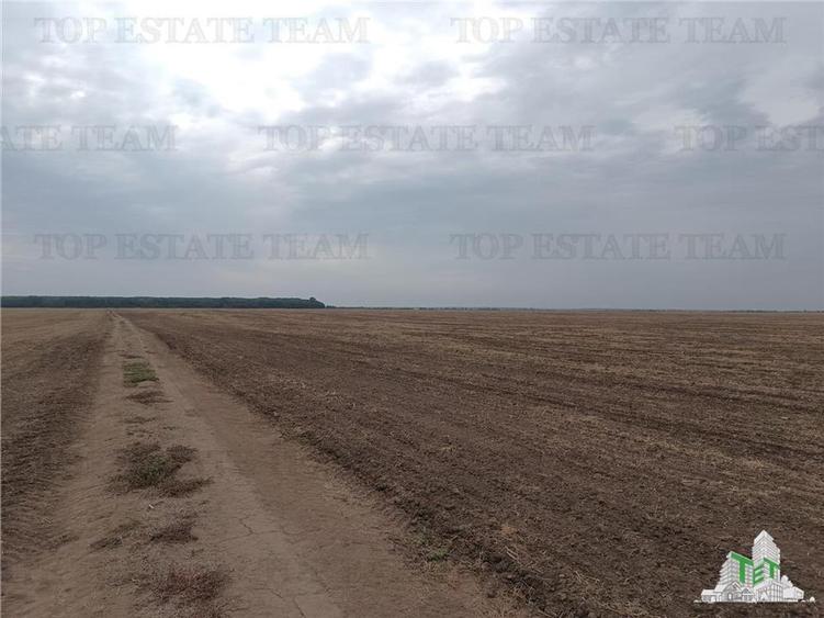 Oferim spre vanzare 6 loturi de teren extravilan (agricol) in Petrachioaia ILFOV