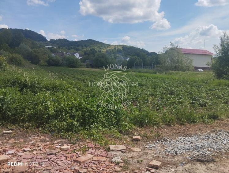 Teren 5832 mp-ideal lac, investitie, cabana, gradina-Slatinita - 4