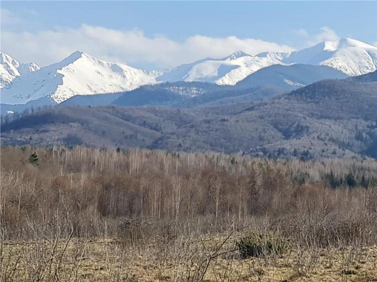 Teren intravilan 2500mp  pe Valea Avrigului,optim casa de vacanta
