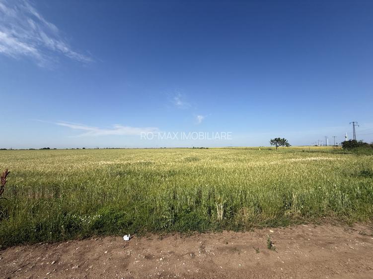 Teren 10 hectare pretabil pt panouri solare-Aricesti Rahtivani - 3