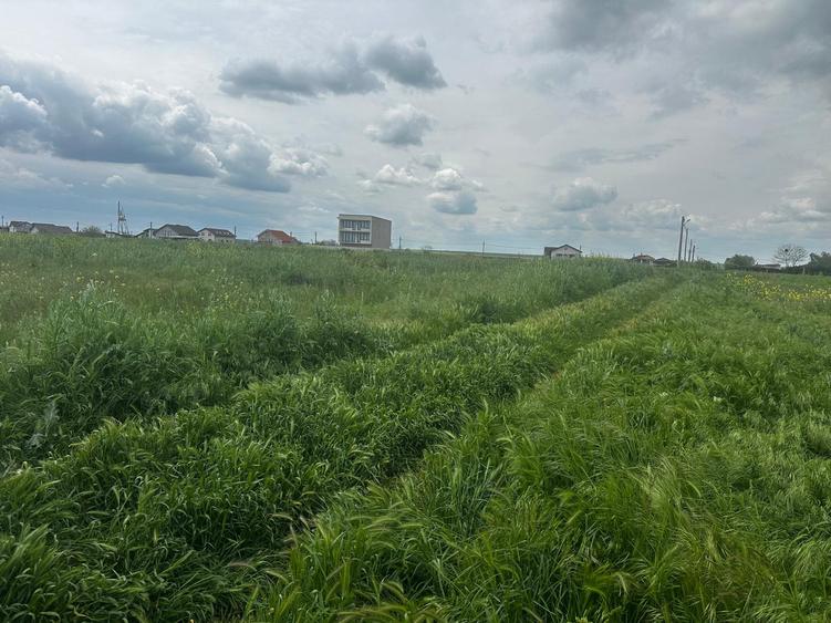 Constanta - Tuzla - teren intravilan 1000mp