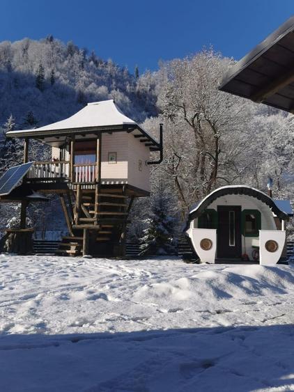 🌲 Cabana de Poveste | Molid – Vama