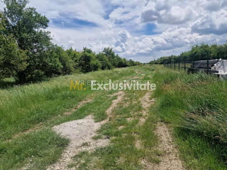 0% Comision!!! Teren intravilan Smeura - str Prunilor! - 6