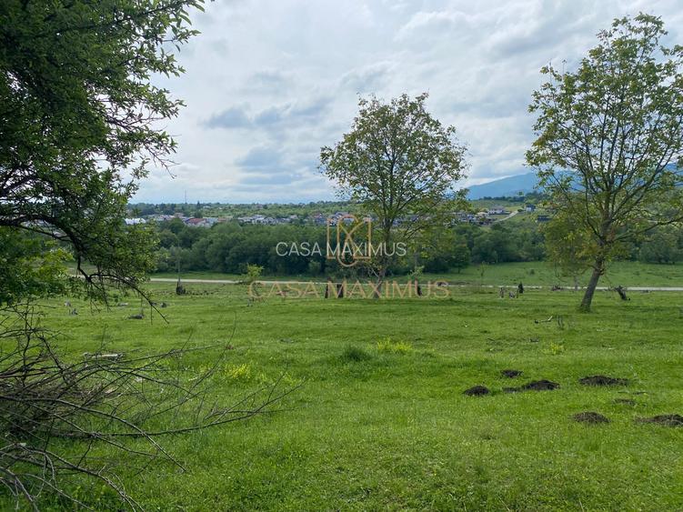 Teren de vânzare în Cisnădioara, aproape de cetate, cu priveliște superbă - 6