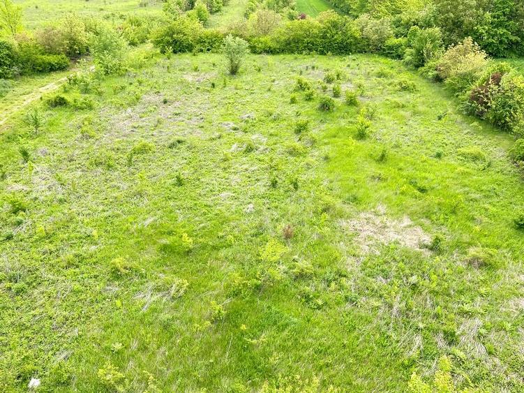 Snagov /Terenuri Parcelate langa Padure cu Utilitati/ Canalizare/ 500-2500 Mp