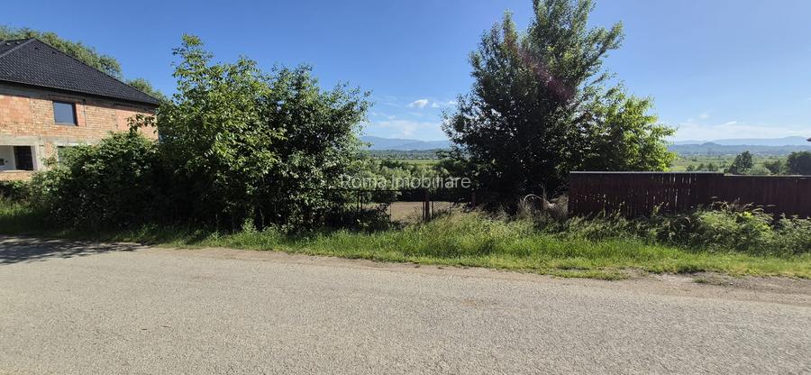Teren intravilan de vânzare – Coltău, Maramureș | Zonă rezidențială de case - 3
