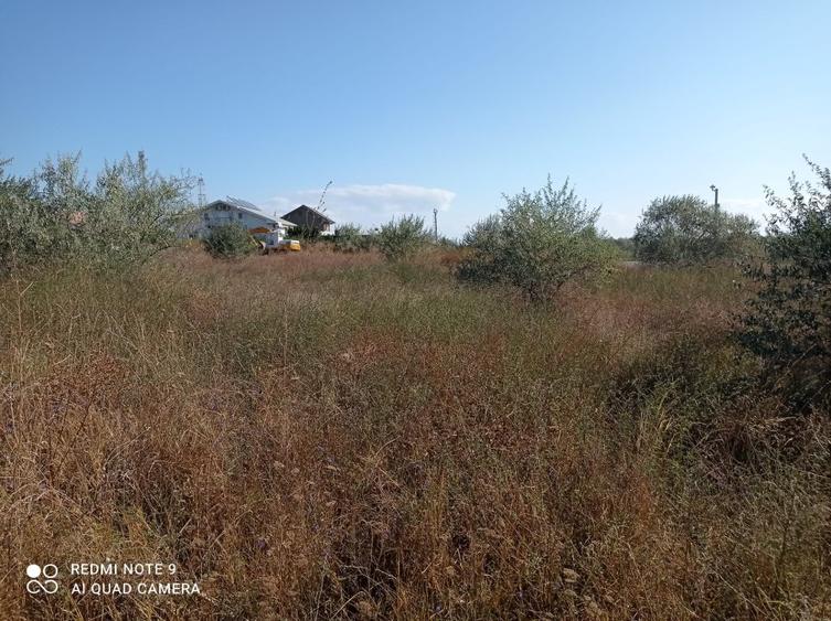 OCAZIE! CAP MIDIA -teren intravilan cu PUZ -5.000 mp, situat lângă mare!