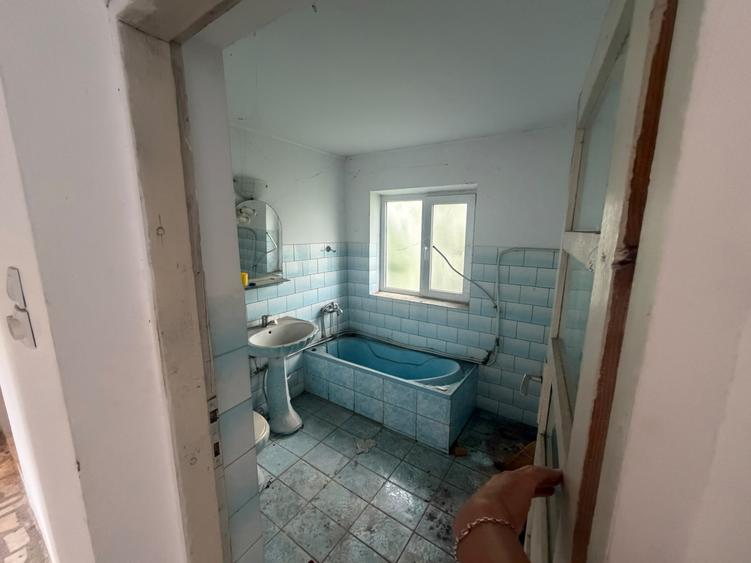 Casa - Vila | Purcareni Micesti Arges | S+P+1+M| teren 4900mp | Livada
