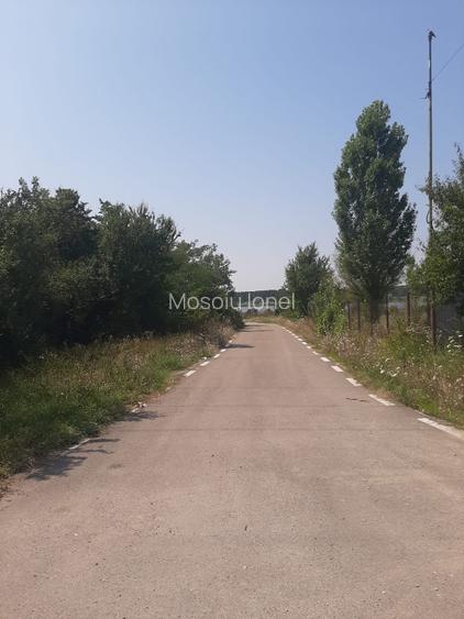 PROPRIETAR Teren stradal ILFOVENI - 9
