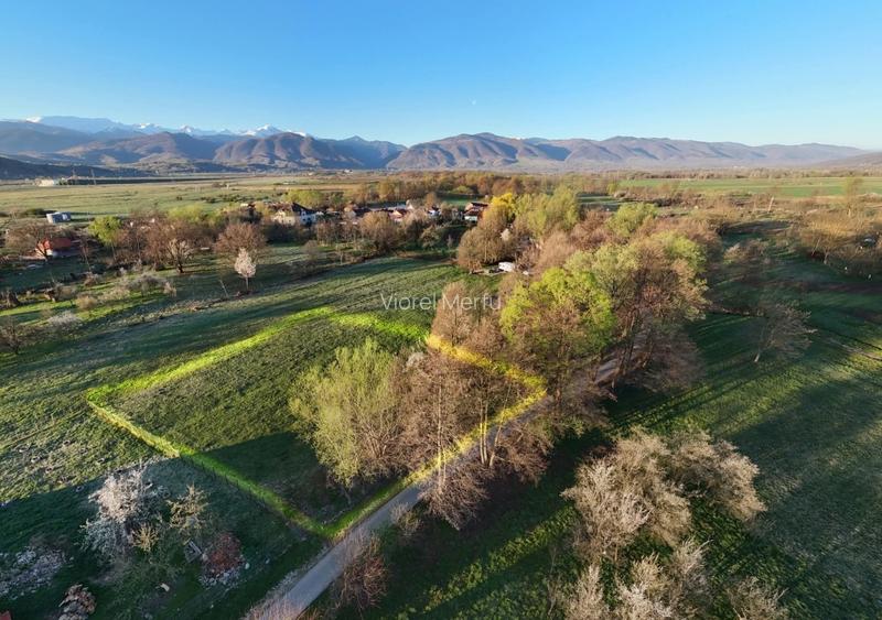 Teren intravilan 2.000 mp de vânzare – Cârnești, Țara Hațegului | vedere Retezat - 6