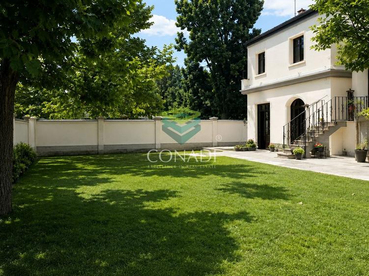 Casa si curte pentru locuinta | office, consultanta, comert