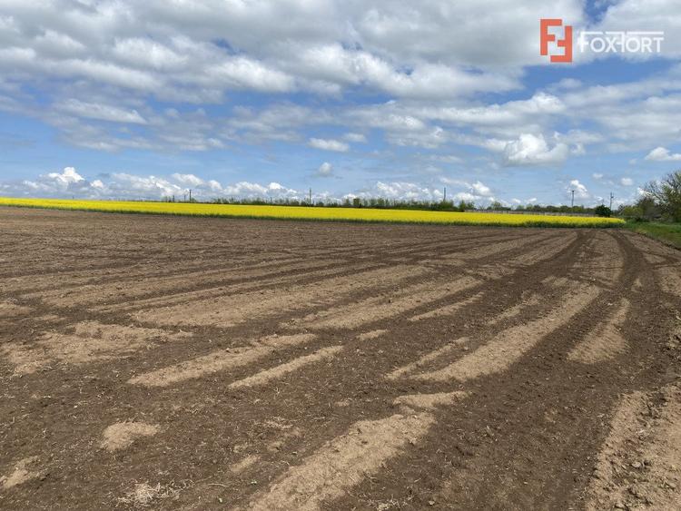 Teren Agricol | Opurtunitate investitie | Sananadrei - ID V713