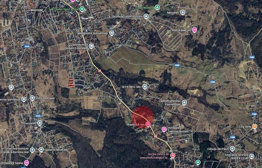 Bucium - Shamrock Inn, 710mp intravilan de vanzare, toate utilitatile