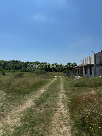 Domnesti - Strada Salciei - Teren intravilan 500 mp x 2 loturi - 3
