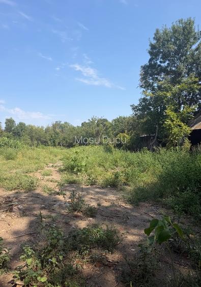 TEREN INTRAVILAN DE VÂNZARE – CĂLUGĂRENI, GIURGIU | 2.418 MP | DESCHIDERE 24 M - 8