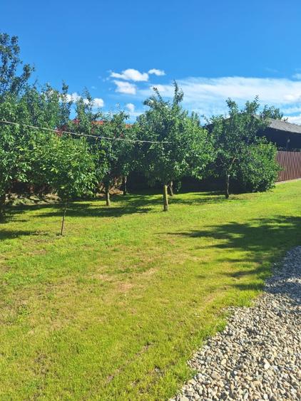 AFACERE LA CHEIE cu locuință + hale, teren 4.007 m²