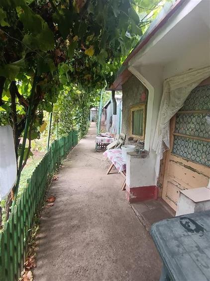 Casa Brailita-Vidin, 4 camere, Teren 573 mp