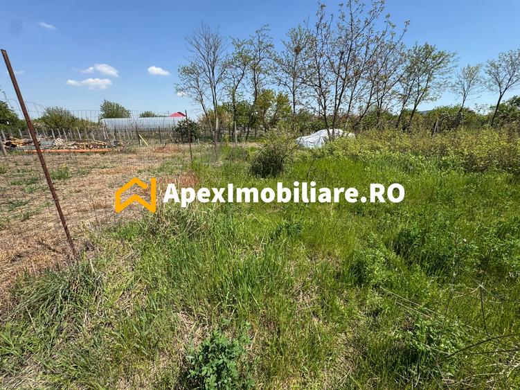 Teren intravilan de vanzare Cornetu IF | ApexImobiliare.ro