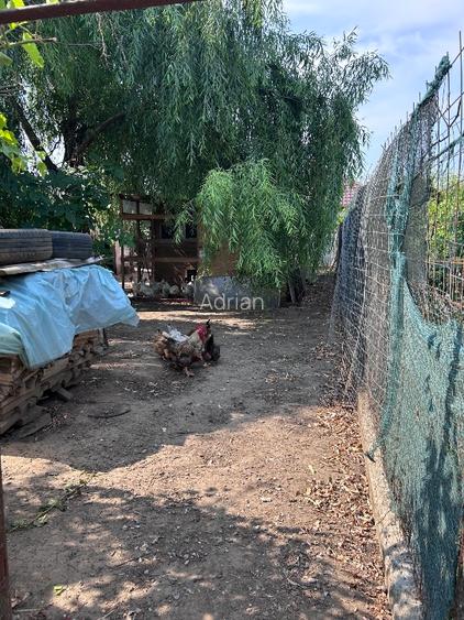 Ai obosit de agitația orașului? Poate că „acasă” te așteaptă la Pogoanele. 🏡  - 12