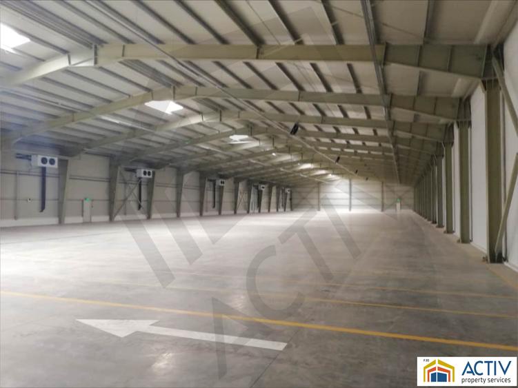 DEPOZIT TEMPERATURA CONTROLATA ALUTI & VALSI COLD STORAGE