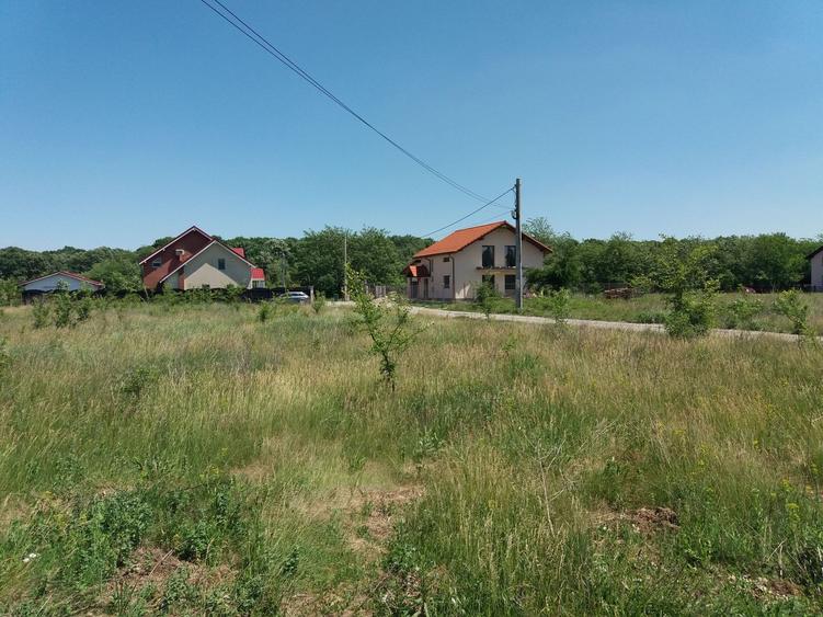 Teren intravilan inconjurat de padure, Ciofliceni, Snagov, comision 0