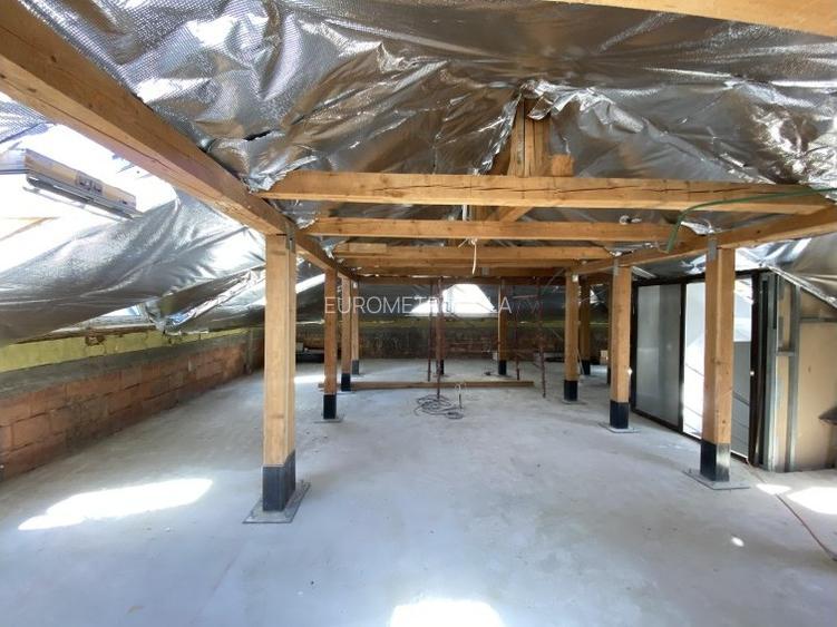 Vila S+P+E+M  Herastrau - 3