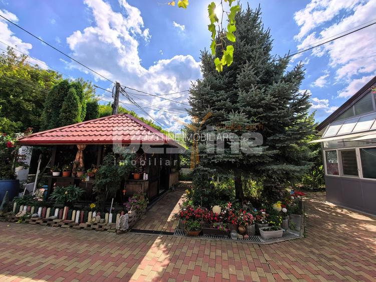 Casă cu 5 camere P+M 110 mp + 500 mp teren, mobilată - 39