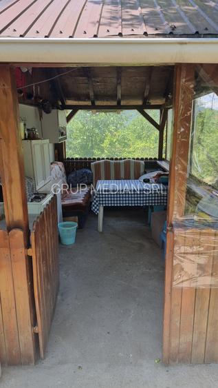 Proprietate de vanzare in Golești - 10800 mp teren și două case - 11