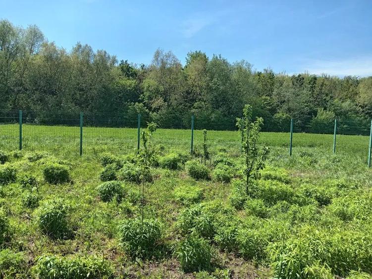 Teren Intravilan 837 mp Stupini