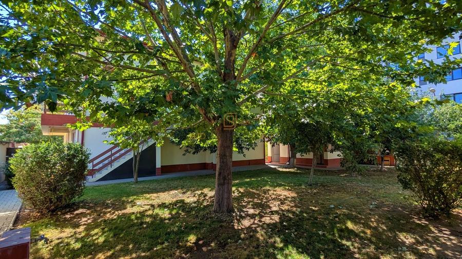 Vila in zona Berceni-Grand Arena, P+1+M, cu 1500 mp teren