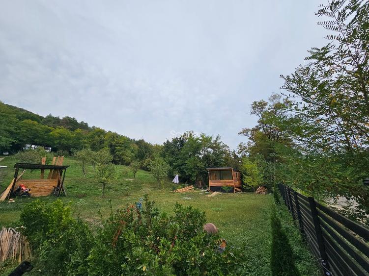 Teren 1000 mp cu tiny house, priveliste spre rau si padure- la 1h30 de Bucuresti - 5
