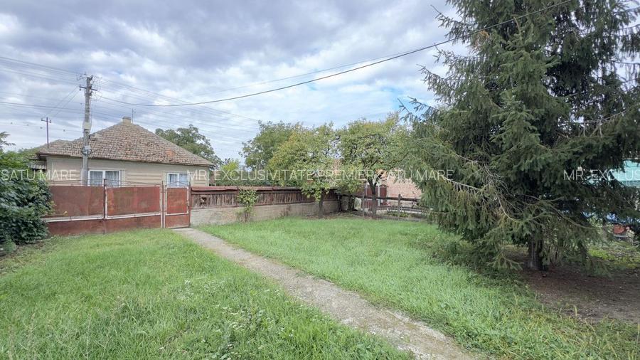 Casă 3 camere, Teren 3.263 mp, Str.Mărășești Nr.16 -Carei-Comision 0% cumpărător - 10